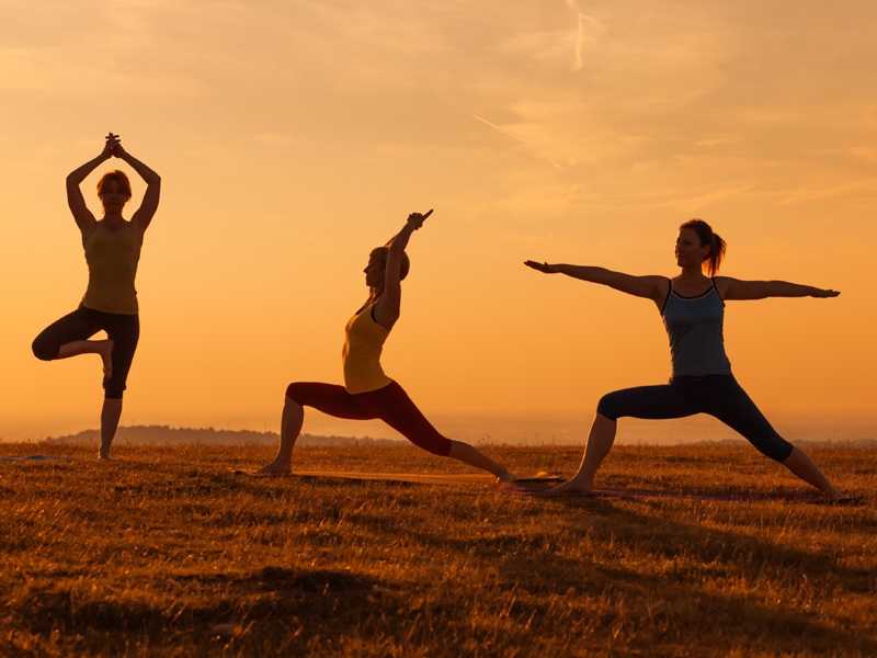 Yoga for Beginners